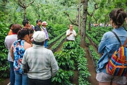 Sustainability Expert