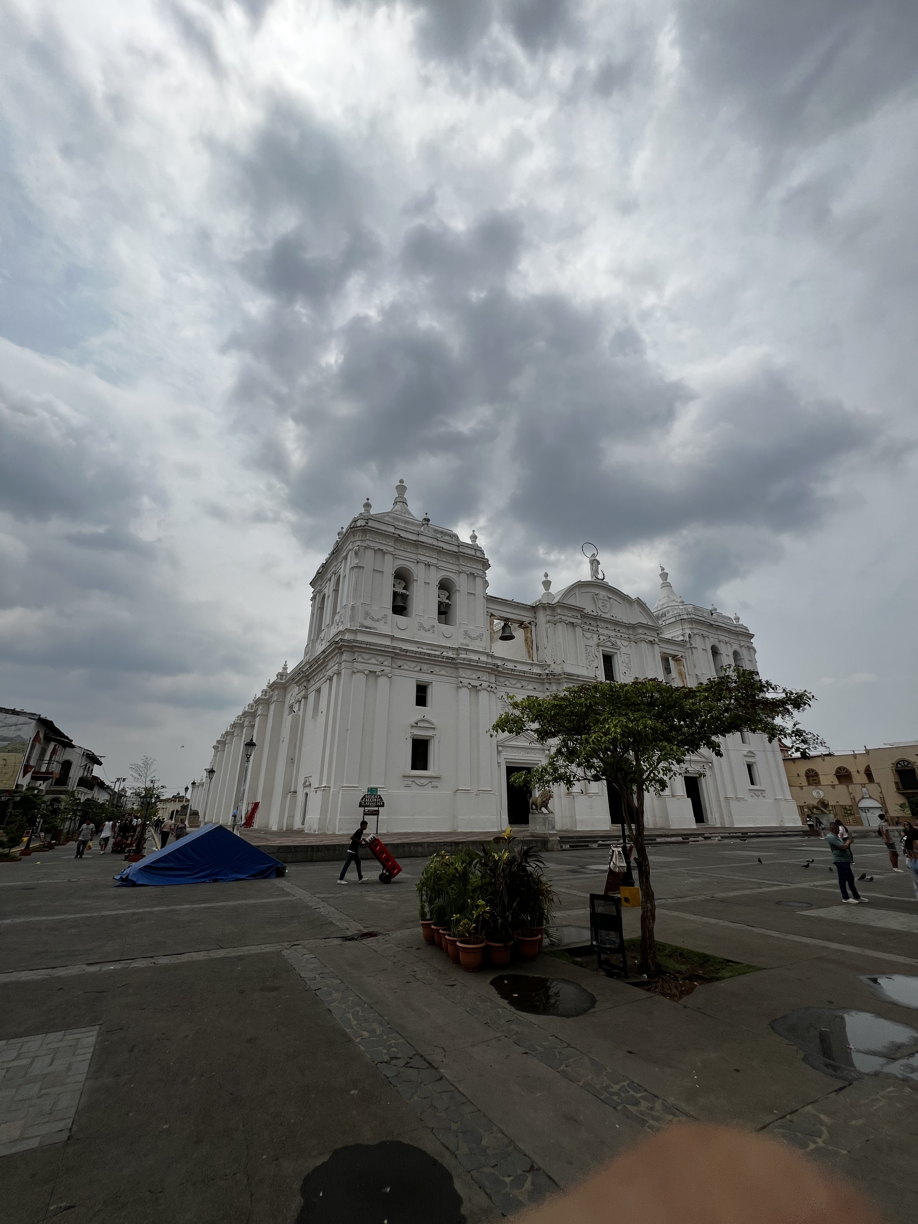 León